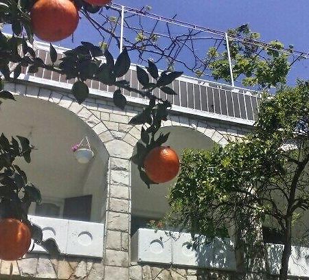 House Orange Apartments Herceg Novi Eksteriør bilde
