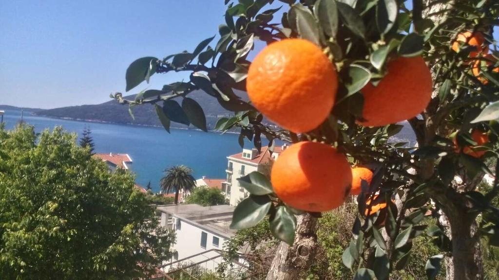 House Orange Apartments Herceg Novi Eksteriør bilde