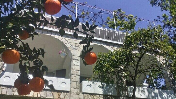 House Orange Apartments Herceg Novi Eksteriør bilde