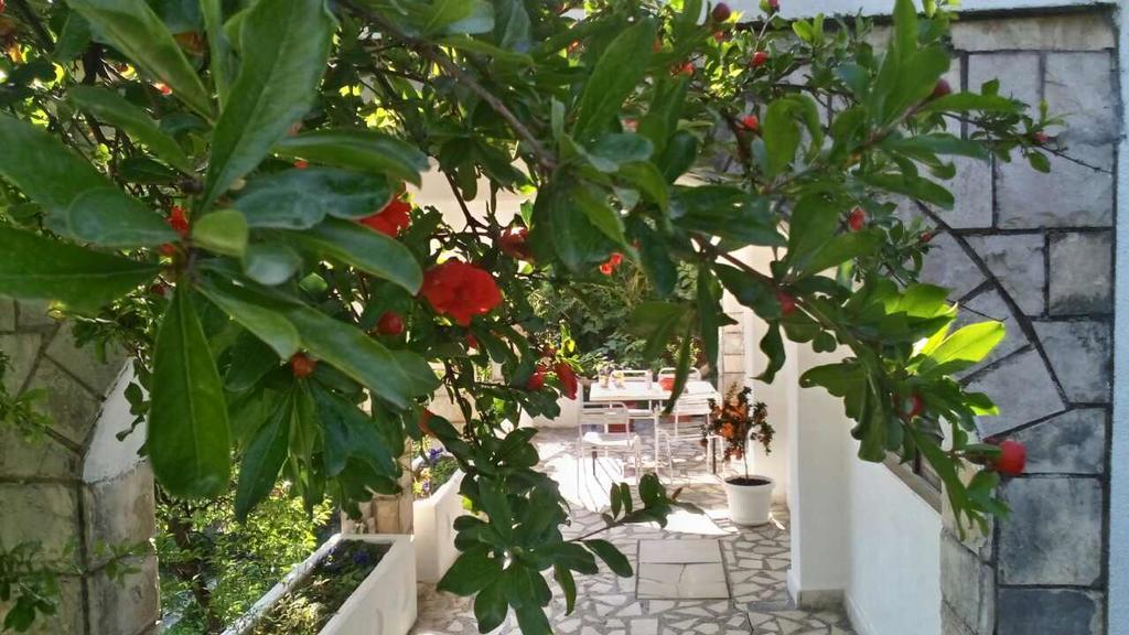 House Orange Apartments Herceg Novi Eksteriør bilde