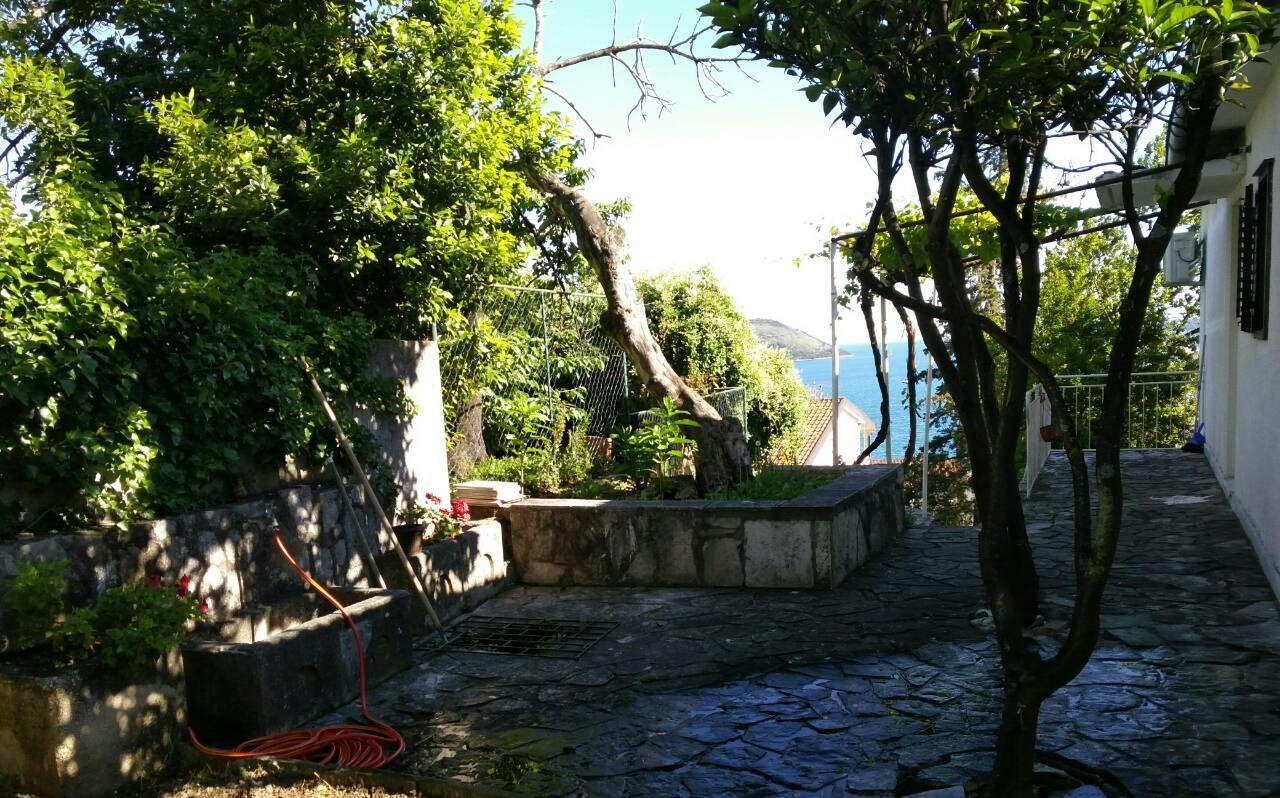 House Orange Apartments Herceg Novi Eksteriør bilde
